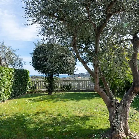 L'ulivo Di Cecilia * Alassio
